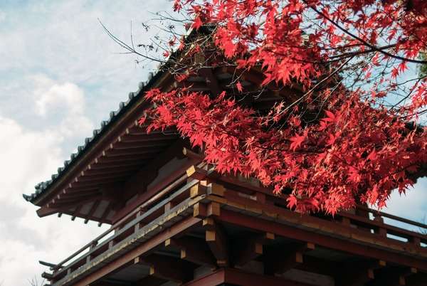 【福岡交通攻略】九州JR、福岡地鐵、西鐵電車一篇搞定,福岡交通票券省錢這樣用! 【福岡交通攻略】九州JR、福岡地鐵、西鐵電車一篇搞定,福岡交通票券省錢這樣用!