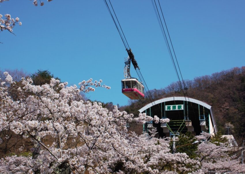 【九州大分自由行】由布院別府一日遊行程，大分溫泉/景點/美食/住宿/交通/購物全攻略