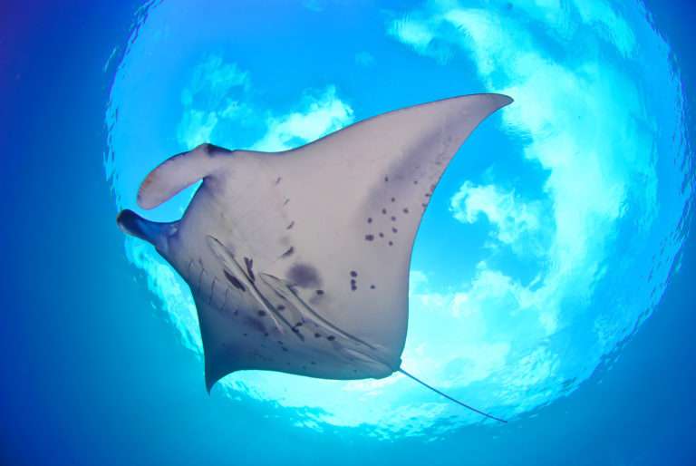 川平石崎、石垣島、石垣島景點、石垣島自由行、沖繩石垣島、日本石垣島、石垣島潛水