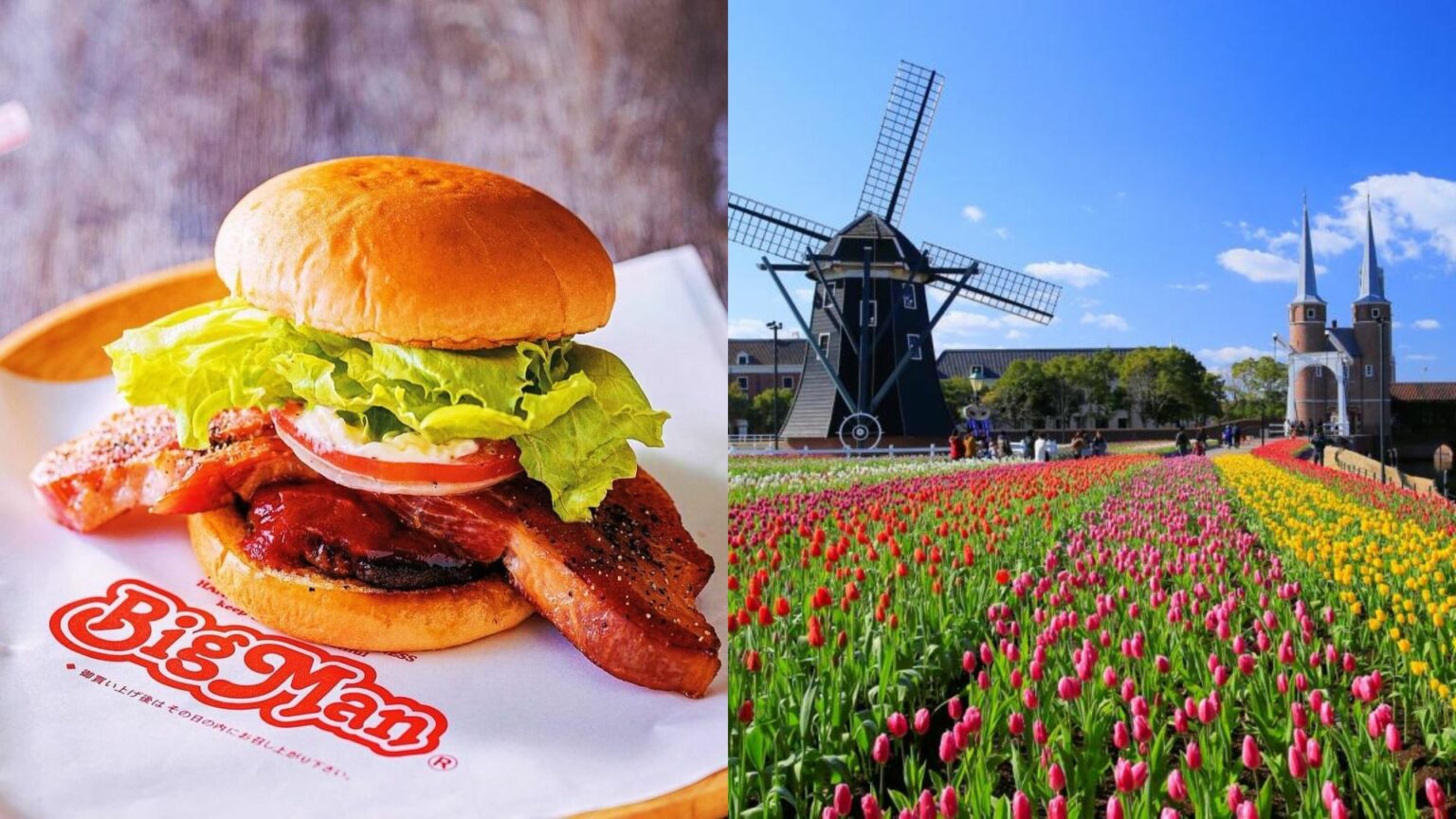 【九州長崎自由行】精選長崎一日遊景點推薦！長崎景點、長崎美食、長崎必買以及交通全攻略