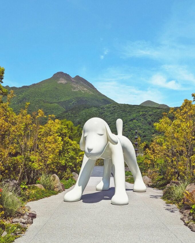 【大分景點推薦】別府地獄之旅、空中纜車、九州動物園、由布院金鱗湖一日遊，大分門票優惠