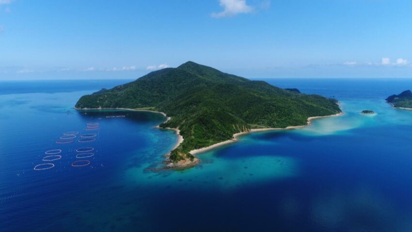 【鹿兒島景點】精選鹿兒島必玩景點，鹿兒島市/櫻島/屋久島/奄美大島攻略