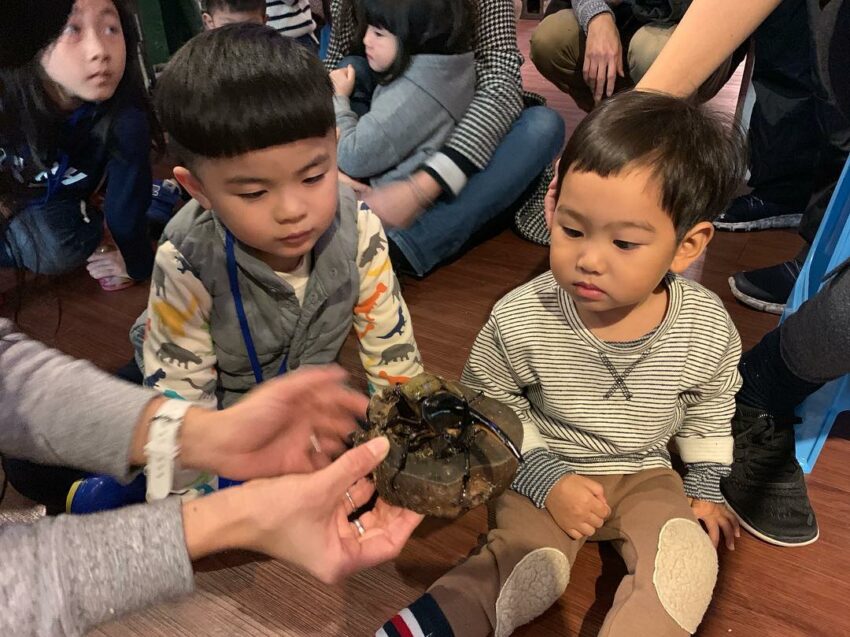 台北博物館推薦21家!台北歷史博物館、袖珍博物館、鐵道博物館懶人包 台北博物館推薦21家!台北歷史博物館、袖珍博物館、鐵道博物館懶人包