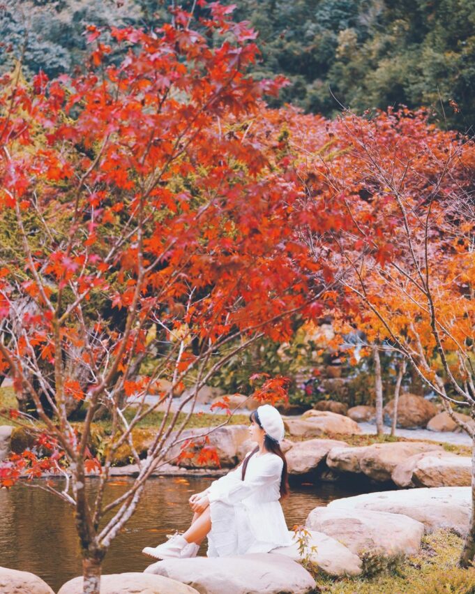 杉林溪一日遊必拍景點、門票優惠、賞螢花季、交通攻略|杉林溪森林生態渡假園區 南投縣竹山鎮, 杉林溪森林生態渡假園區, 杉林溪, 杉林溪楓葉