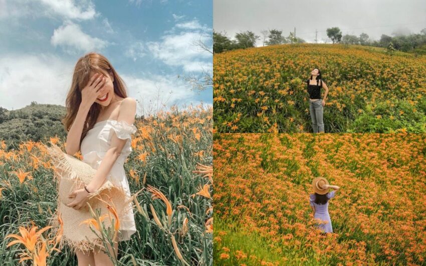 【台東景點推薦】台東跨年卡司出爐，精選60個台東一日遊必去景點，帶你輕鬆遊台東