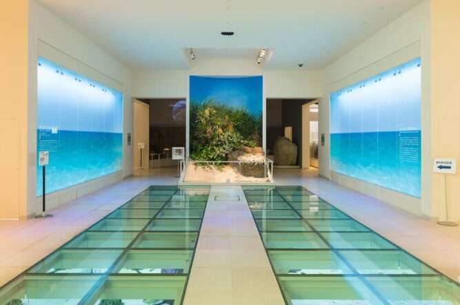 【沖繩景點推薦】25個沖繩必去景點！北中南沖繩景點地圖攻略