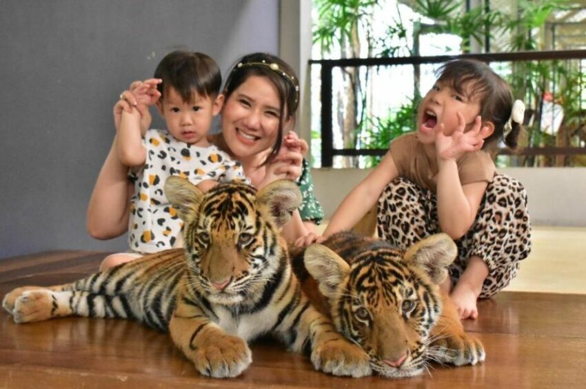 【芭達雅景點推薦】最新20個芭達雅必去景點、8種特色玩法攻略,還只會玩水上活動就落伍了! 【芭達雅景點推薦】最新20個芭達雅必去景點、8種特色玩法攻略,還只會玩水上活動就落伍了!