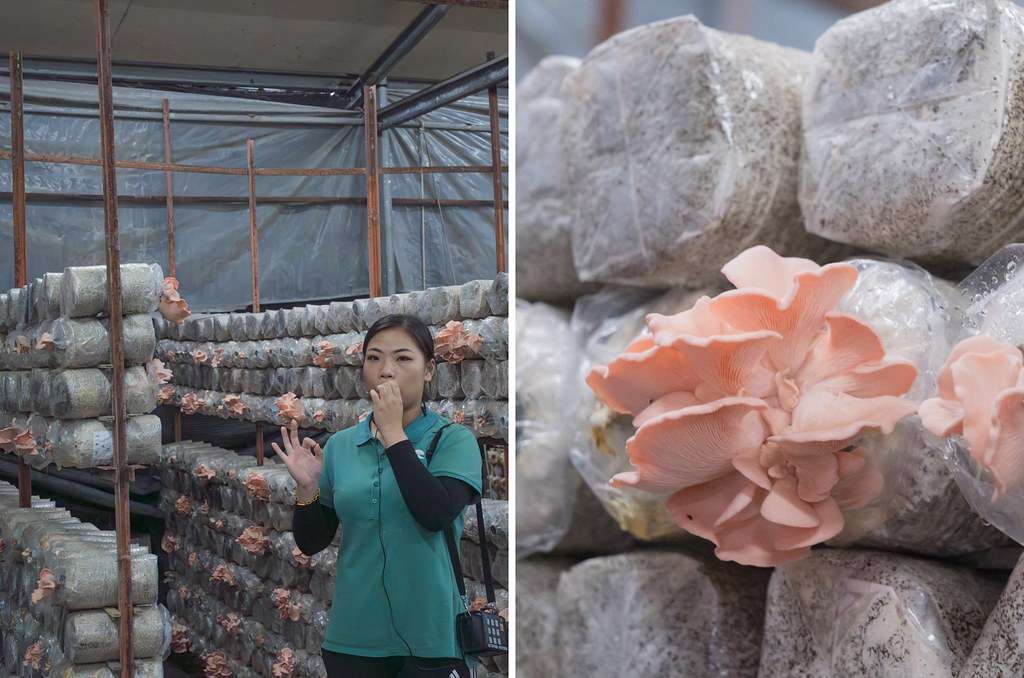 DSC07550-已增強-雜訊減少-side