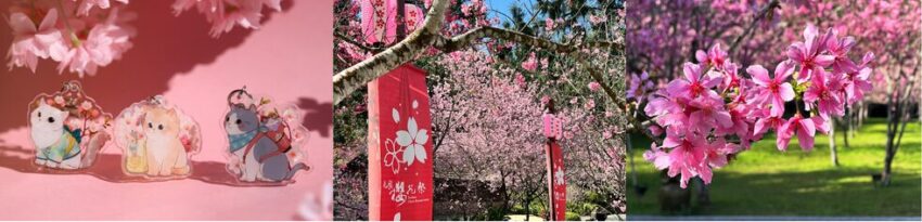 賞櫻景點 【2026台灣賞櫻景點】推薦18個超夯全台灣賞櫻花景點，最新花況總整理 1 2026