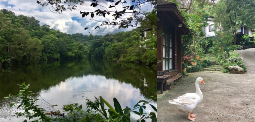 【馬那邦山】苗栗大湖兩天一夜推薦!在森森不息的馬那邦,享受被山嵐、湖光、森林包圍的時光 【馬那邦山】苗栗大湖兩天一夜推薦!在森森不息的馬那邦,享受被山嵐、湖光、森林包圍的時光