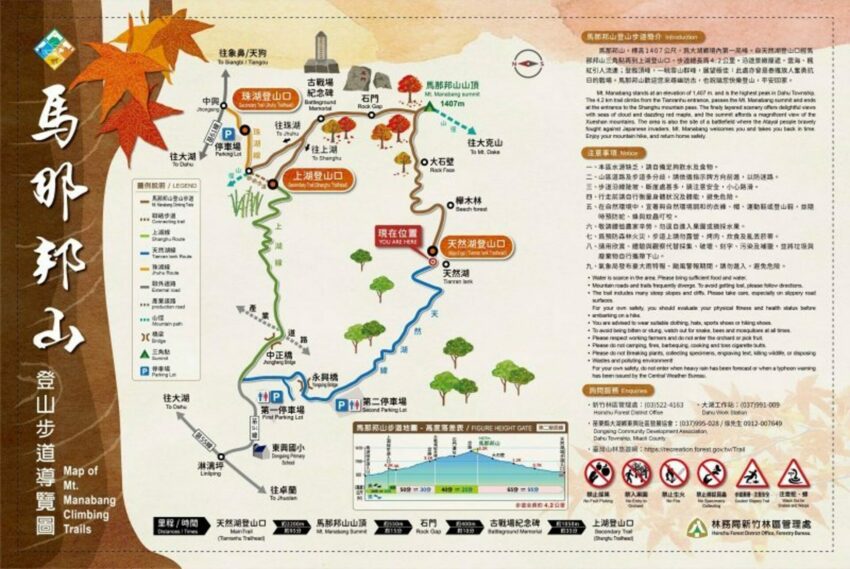 【馬那邦山】苗栗大湖兩天一夜推薦!在森森不息的馬那邦,享受被山嵐、湖光、森林包圍的時光 【馬那邦山】苗栗大湖兩天一夜推薦!在森森不息的馬那邦,享受被山嵐、湖光、森林包圍的時光