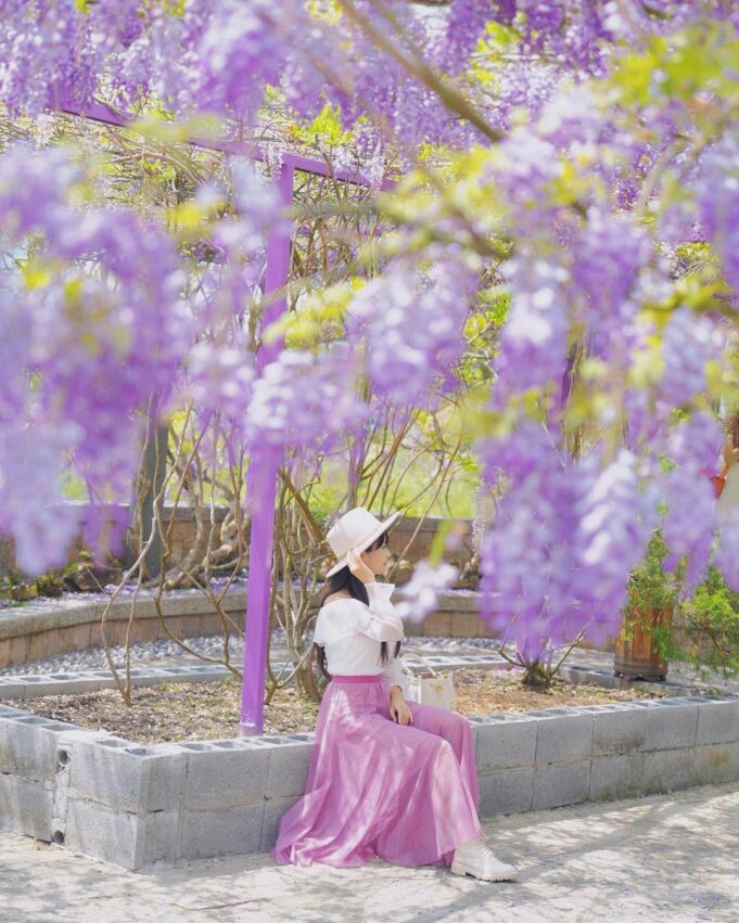 嘉義瑞里景點推薦｜紫色山城怎麼玩？台灣好行瑞里線必去景點大公開！