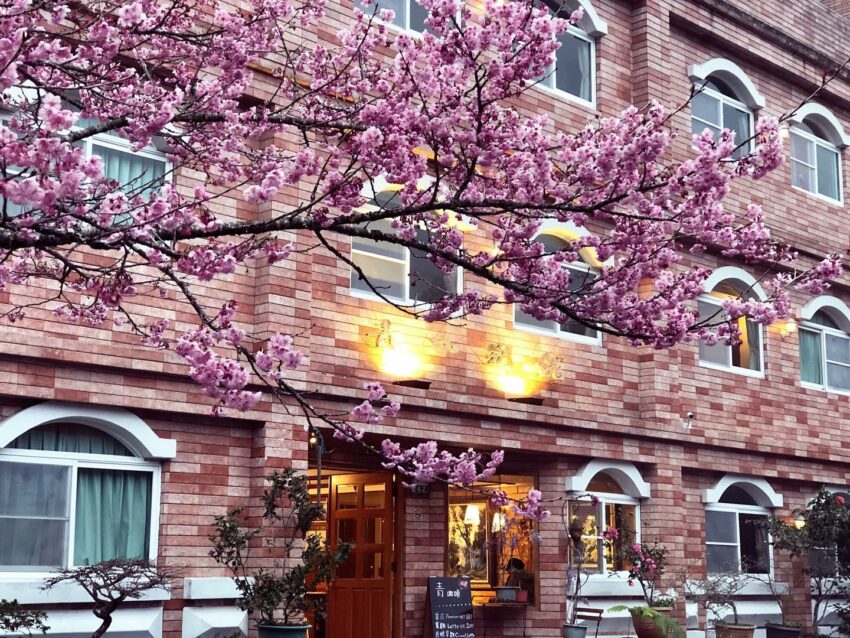 【阿里山住宿】精選超人氣阿里山飯店、阿里山民宿、阿里山賓館，一起看日出～