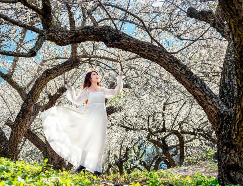 南投賞花攻略|愛花人必收!南投一年四季必拍賞花秘境景點推薦 南投賞花攻略|愛花人必收!南投一年四季必拍賞花秘境景點推薦