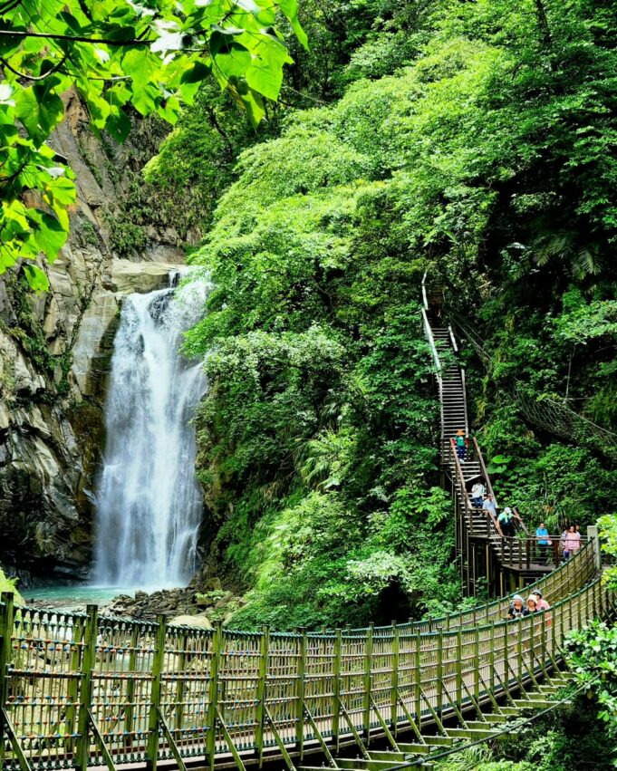 【阿里山景點攻略】嘉義阿里山旅遊路線，阿里山行程規劃快看這篇！