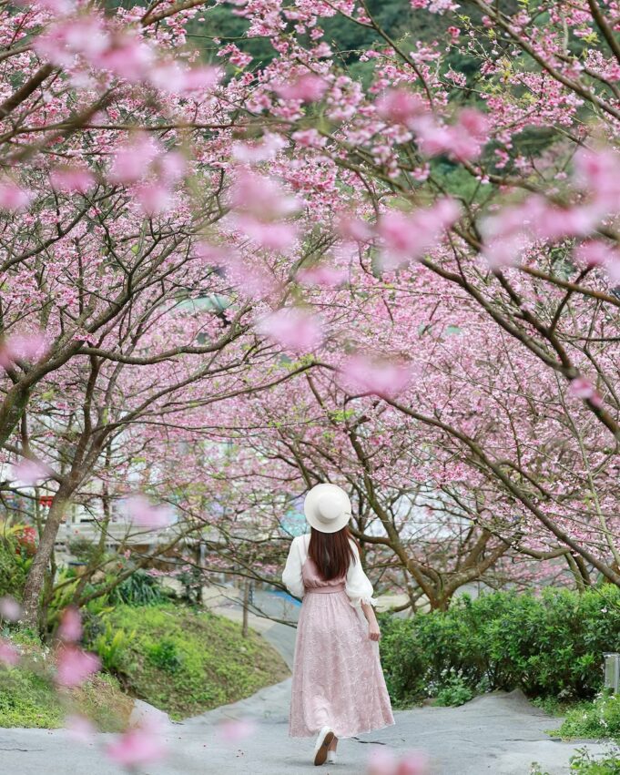 【新北景點推薦】新北一日遊好玩景點！最新新北旅遊景點地圖全攻略