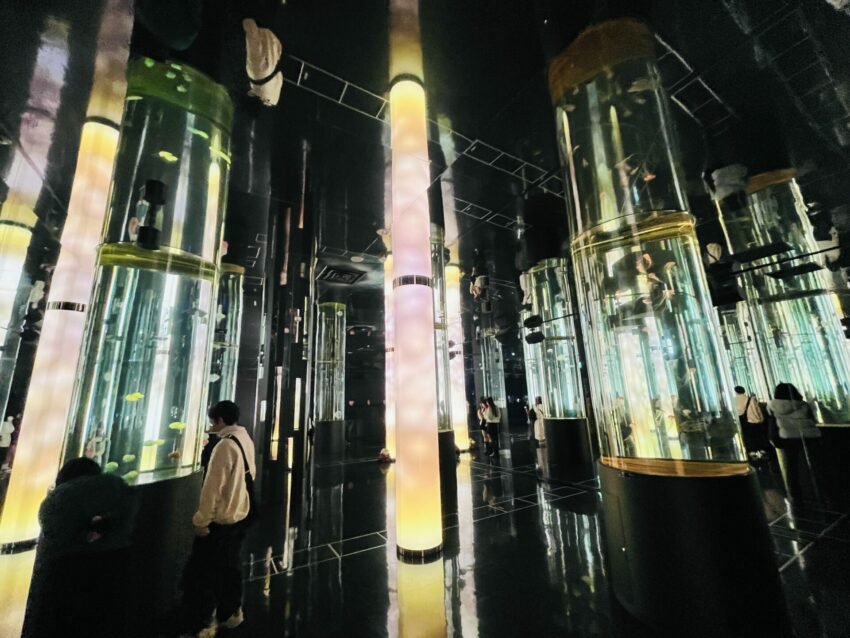 【沖繩南部一日遊】沖繩不開車也好玩,搭乘沖繩觀光巴士帶你輕鬆玩沖繩南部景點│沖繩FunPASS觀光巴士 【沖繩南部一日遊】沖繩不開車也好玩,搭乘沖繩觀光巴士帶你輕鬆玩沖繩南部景點│沖繩FunPASS觀光巴士