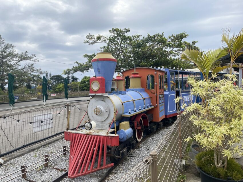 【沖繩兒童王國】親子必去沖繩景點！動物園＆遊樂園攻略，門票優惠/園區地圖/交通資訊