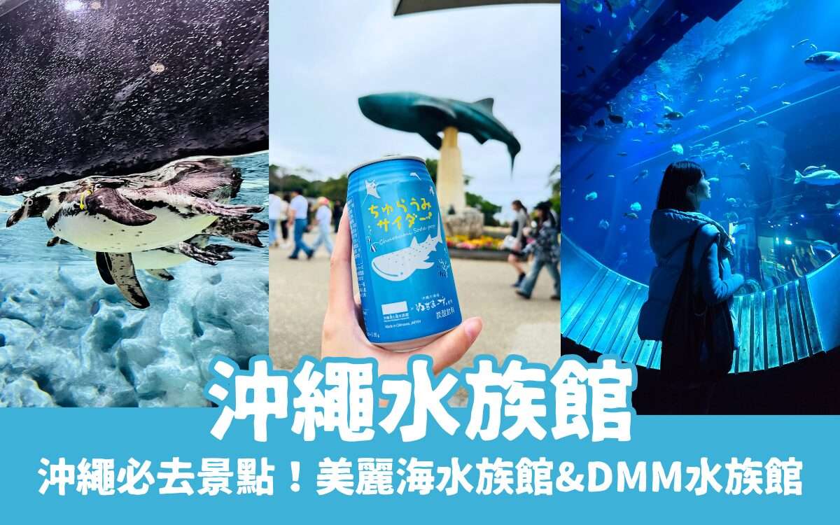 【沖繩水族館】兩大水族館怎麼選？沖繩美麗海水族館＆DMM水族館門票/表演全比較！