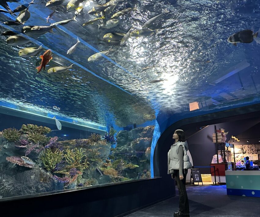 【沖繩南部一日遊】沖繩不開車也好玩,搭乘沖繩觀光巴士帶你輕鬆玩沖繩南部景點│沖繩FunPASS觀光巴士 【沖繩南部一日遊】沖繩不開車也好玩,搭乘沖繩觀光巴士帶你輕鬆玩沖繩南部景點│沖繩FunPASS觀光巴士