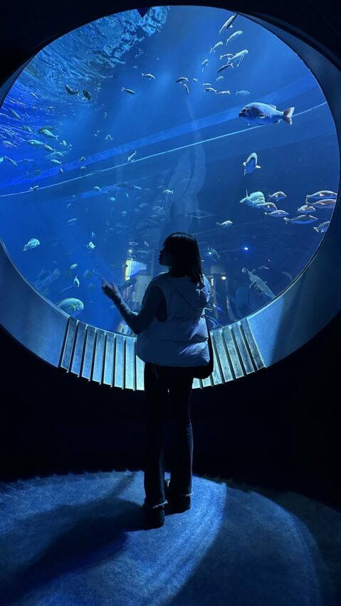 【沖繩南部一日遊】沖繩不開車也好玩,搭乘沖繩觀光巴士帶你輕鬆玩沖繩南部景點│沖繩FunPASS觀光巴士 【沖繩南部一日遊】沖繩不開車也好玩,搭乘沖繩觀光巴士帶你輕鬆玩沖繩南部景點│沖繩FunPASS觀光巴士
