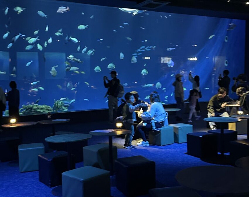 【沖繩南部一日遊】沖繩不開車也好玩,搭乘沖繩觀光巴士帶你輕鬆玩沖繩南部景點│沖繩FunPASS觀光巴士 【沖繩南部一日遊】沖繩不開車也好玩,搭乘沖繩觀光巴士帶你輕鬆玩沖繩南部景點│沖繩FunPASS觀光巴士