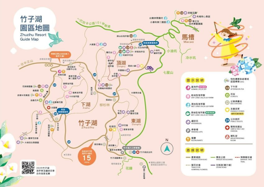 陽明山海芋季景點5選！竹子湖海芋花況時間、交通管制、停車地點一次看