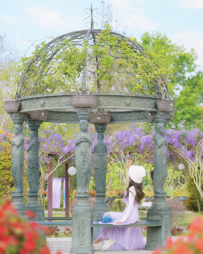 成美文化園 【成美文化園】2026彰化一日遊來趟台版兼六園、日式庭園、落羽松秘境｜門票優惠與交通資訊 5 2026