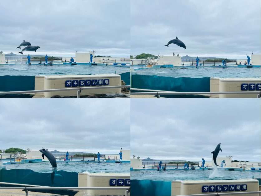 【沖繩北部一日遊】沖繩不自駕也好玩，沖繩巴士帶你玩北部熱門景點