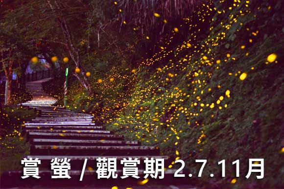 南投螢火蟲 【2026南投螢火蟲】推薦必訪4大南投賞螢景點，最新南投螢火蟲季活動懶人包 4 2026