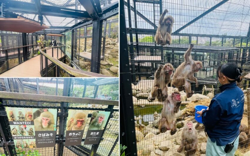 【沖繩兒童王國】親子必去沖繩景點！動物園＆遊樂園攻略，門票優惠/園區地圖/交通資訊