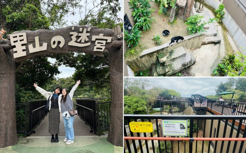 【沖繩兒童王國】親子必去沖繩景點！動物園＆遊樂園攻略，門票優惠/園區地圖/交通資訊
