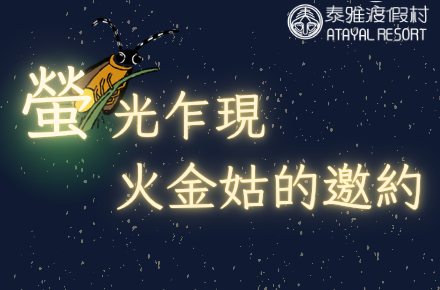 南投螢火蟲 【2026南投螢火蟲】推薦必訪4大南投賞螢景點，最新南投螢火蟲季活動懶人包 6 2026