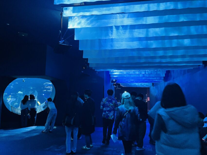 【沖繩DMM水族館】超夯餵食體驗、必玩重點、門票交通,DMM Kariyushi水族館全攻略! 【沖繩DMM水族館】超夯餵食體驗、必玩重點、門票交通,DMM Kariyushi水族館全攻略!