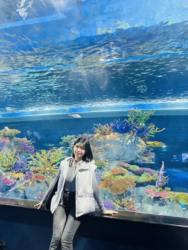 【沖繩DMM水族館】超夯餵食體驗、必玩重點、門票交通,DMM Kariyushi水族館全攻略! 【沖繩DMM水族館】超夯餵食體驗、必玩重點、門票交通,DMM Kariyushi水族館全攻略!