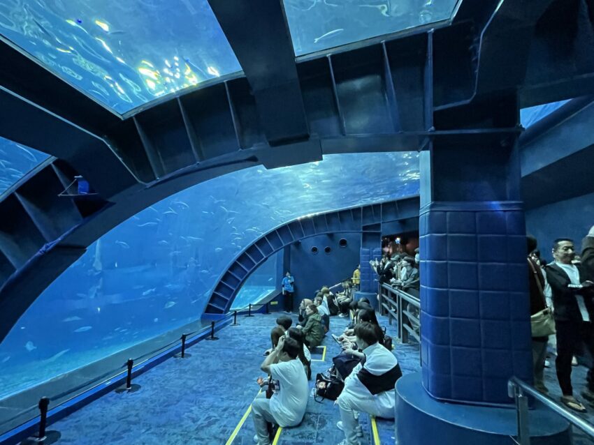 【沖繩美麗海水族館】黑潮之海鯨鯊餵食秀！門票交通＆各區亮點全攻略
