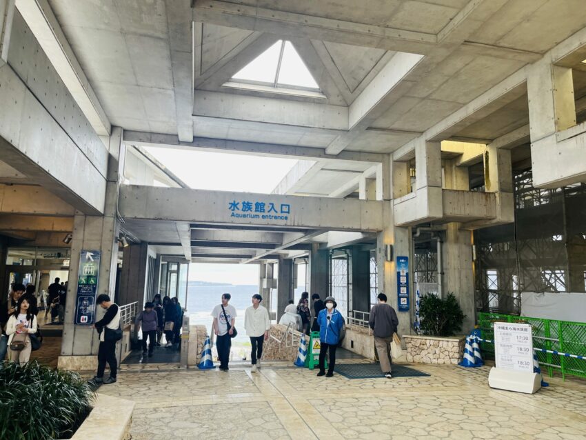 【沖繩美麗海水族館】黑潮之海鯨鯊餵食秀！門票交通＆各區亮點全攻略