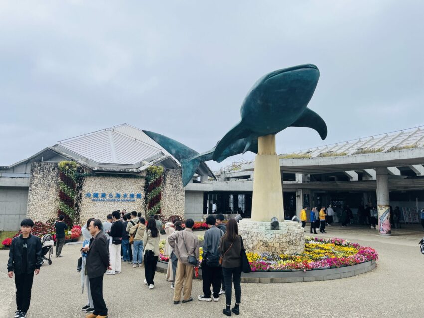 【沖繩美麗海水族館】黑潮之海鯨鯊餵食秀！門票交通＆各區亮點全攻略