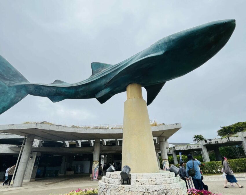 【沖繩美麗海水族館】黑潮之海鯨鯊餵食秀！門票交通＆各區亮點全攻略