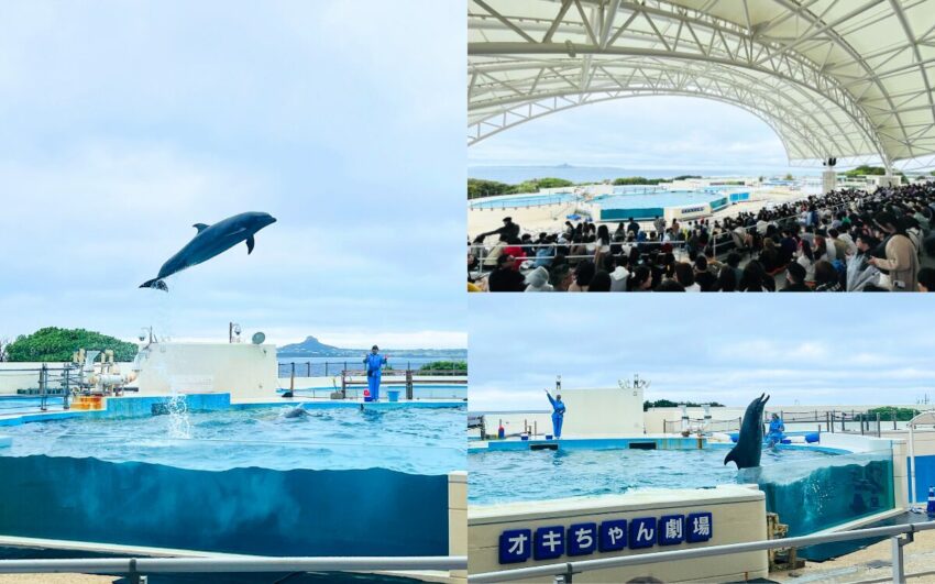 【沖繩美麗海水族館】黑潮之海鯨鯊餵食秀！門票交通＆各區亮點全攻略
