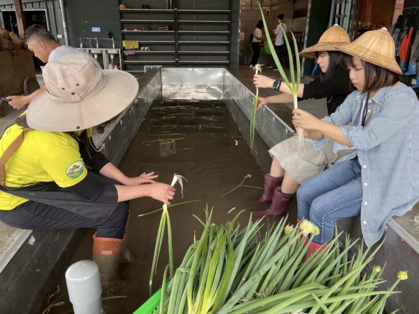 【初咪體驗農場】一日遊｜宜蘭親子景點推薦，體驗拔蔥與手作蔥麵包