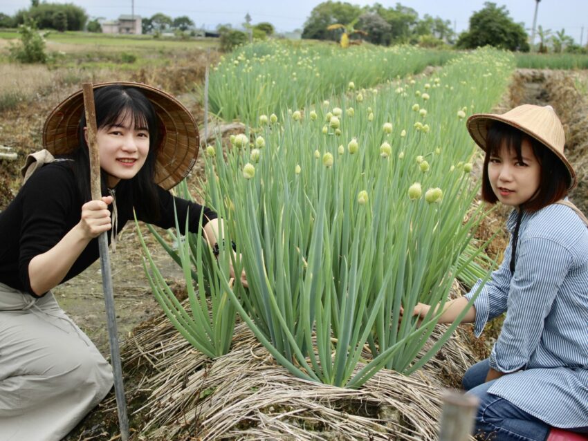 【初咪體驗農場】一日遊｜宜蘭親子景點推薦，體驗拔蔥與手作蔥麵包