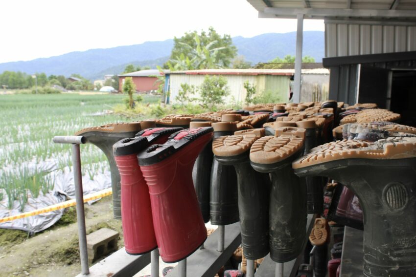 【初咪體驗農場】一日遊｜宜蘭親子景點推薦，體驗拔蔥與手作蔥麵包