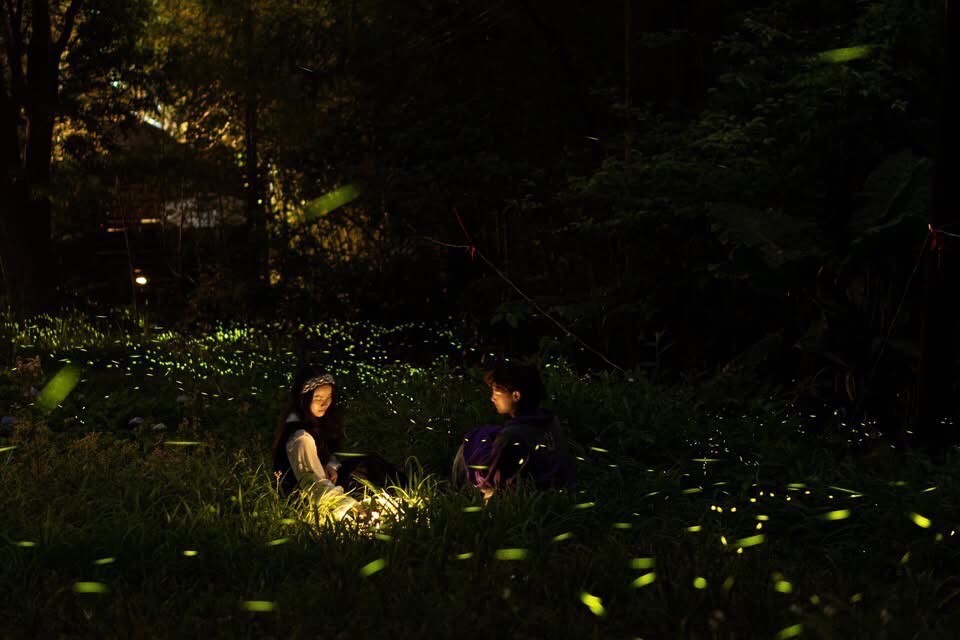 台中賞螢景點｜台中螢火蟲季開跑，推薦5個夢幻賞螢秘境