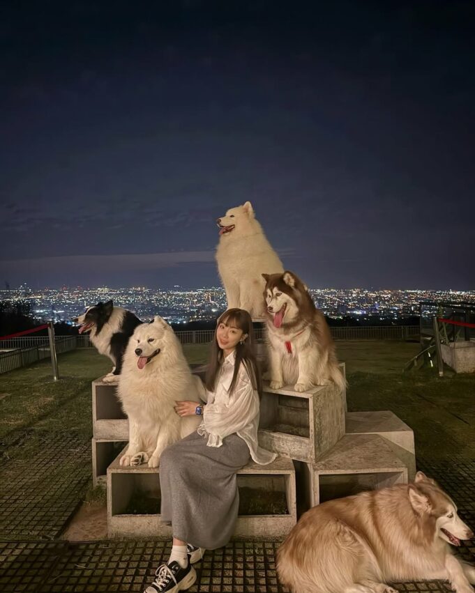 台中景點 【台中景點推薦】2026最新台中一日遊攻略，超夯台中好玩的通通在這裡！ 6 2026