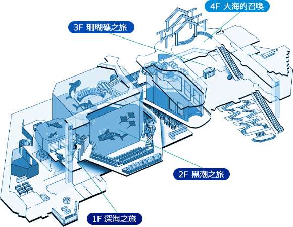 【沖繩美麗海水族館】黑潮之海鯨鯊餵食秀！門票交通＆各區亮點全攻略