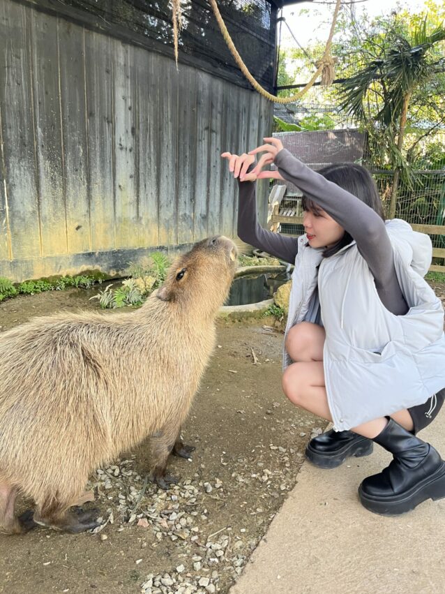 沖繩中部景點【東南植物樂園】熱帶植物與動物的天堂樂園，門票優惠與遊玩攻略懶人包