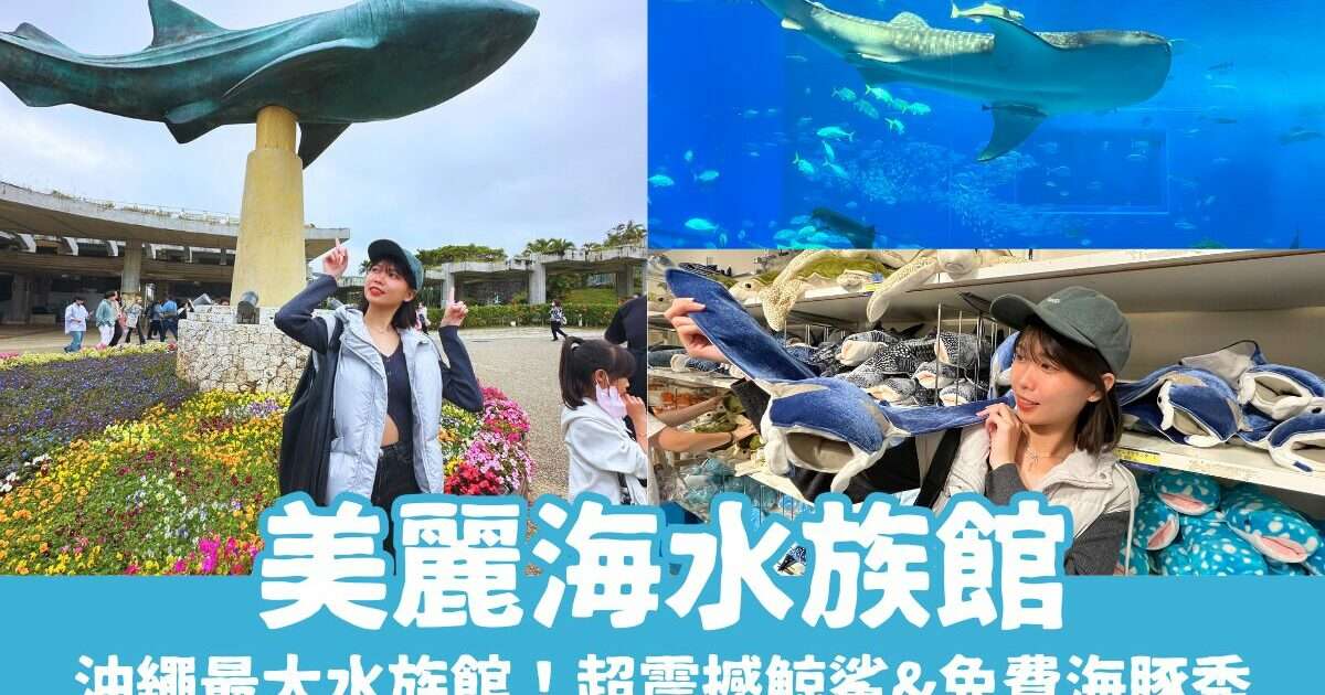 【沖繩美麗海水族館】必看的黑潮之海鯨鯊餵食秀！免費海豚表演&門票交通全攻略