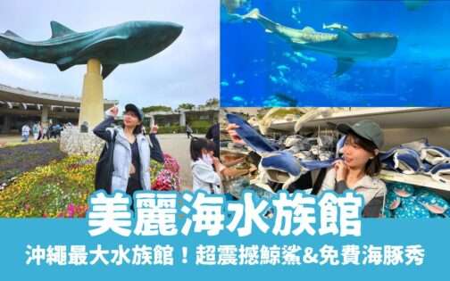 【沖繩美麗海水族館】必看的黑潮之海鯨鯊餵食秀！免費海豚表演&門票交通全攻略