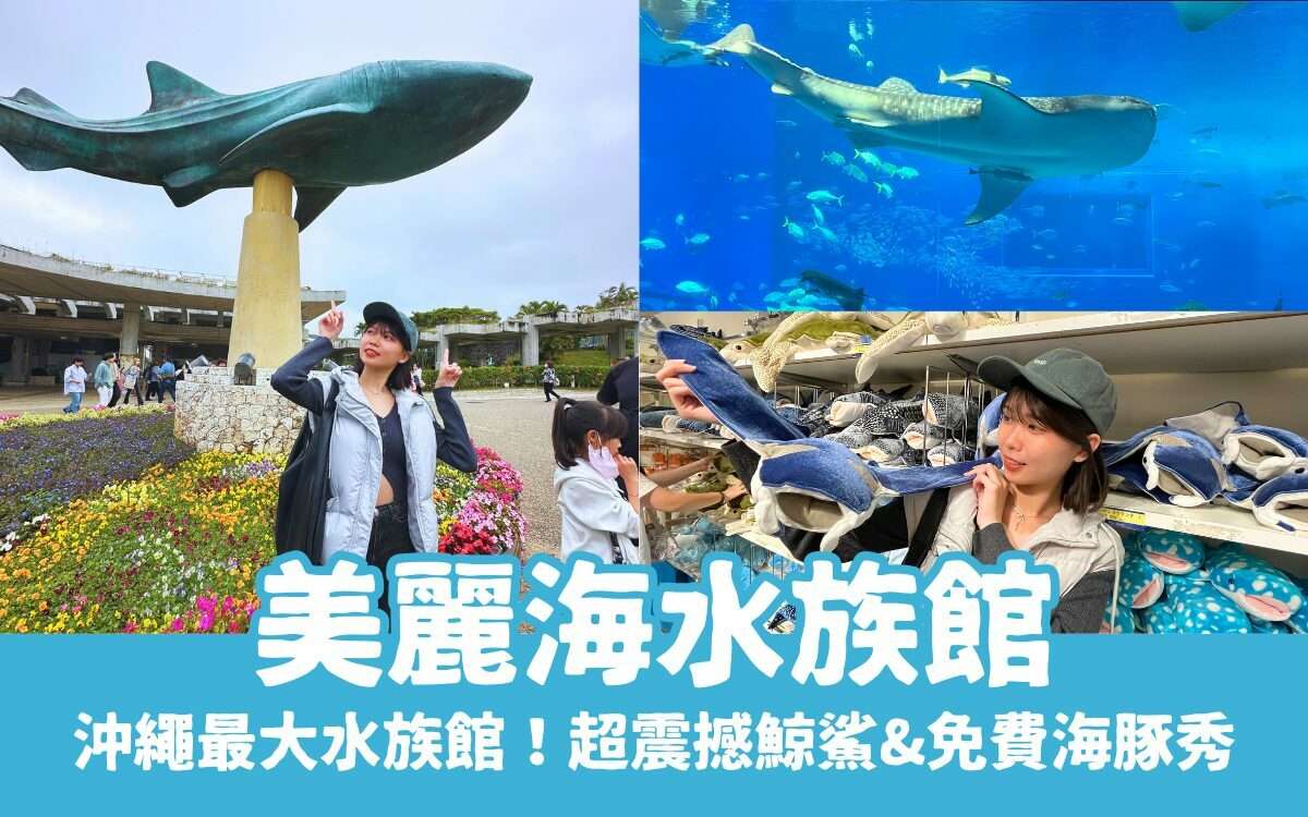 【沖繩美麗海水族館】必看的黑潮之海鯨鯊餵食秀！免費海豚表演&門票交通全攻略